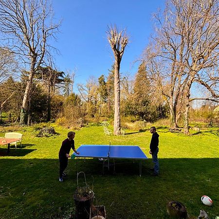 Yxie - Manoir Des Arts Bed & Breakfast Villeblevin Dış mekan fotoğraf